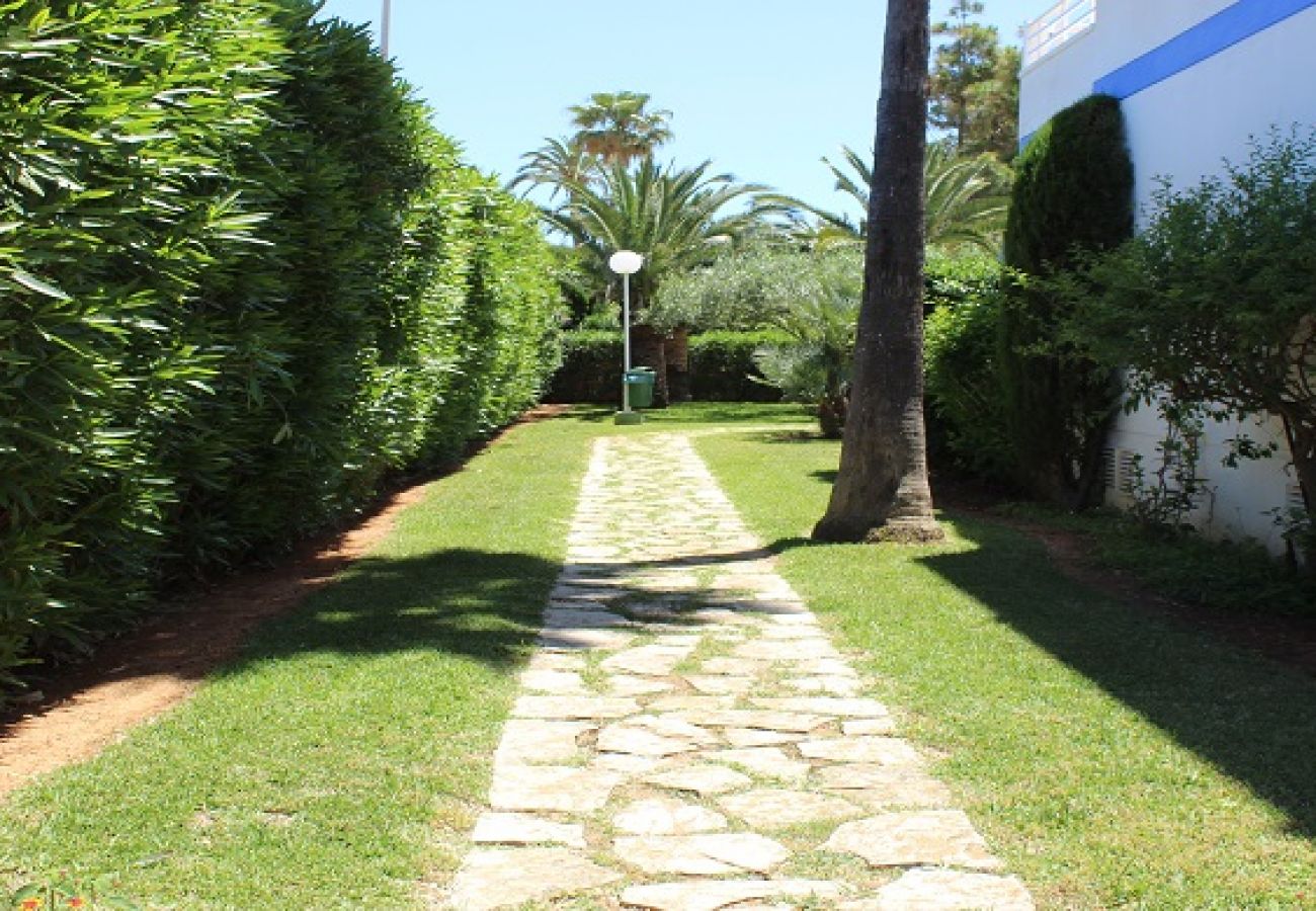 Apartamento en Denia - MARINA BLAU 3A - 2d. a 150metros de la playa