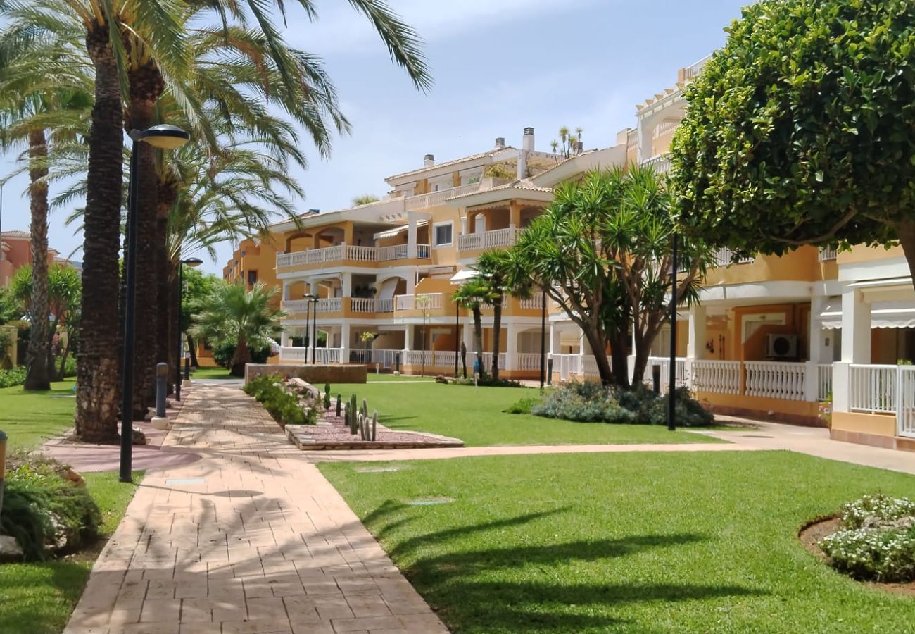 Apartamento en Denia - PLAYA SOL 2d. VYB -  LM 017