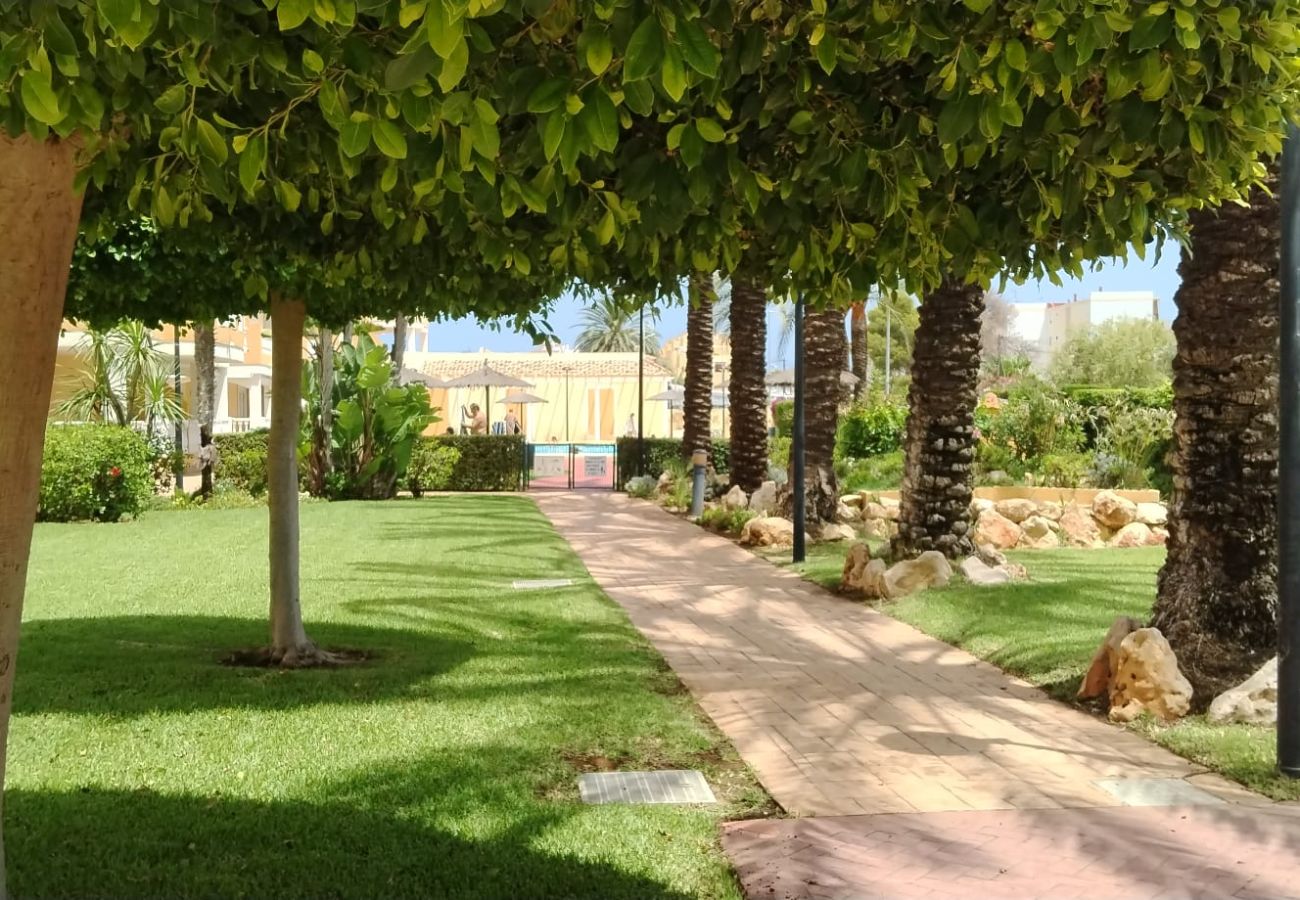 Apartamento en Denia - PLAYA SOL 2d. VYB -  LM 017