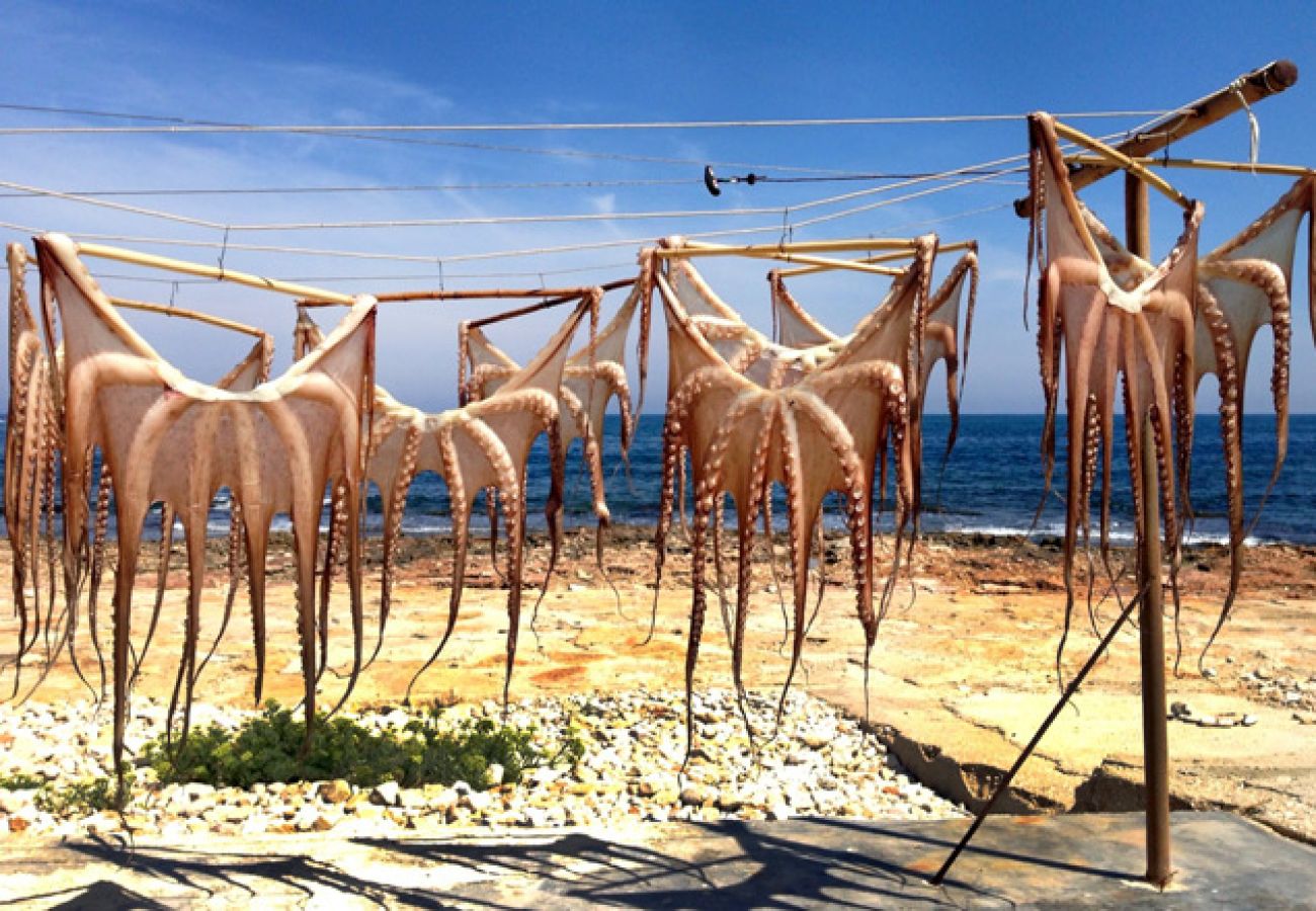 Ferienwohnung in Denia - JARDINES DEL MONTGO VYB