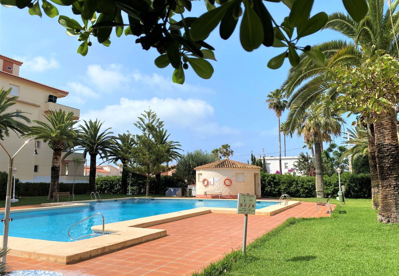 Ferienwohnung in Denia - LA MARINA