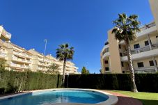 Apartment in Denia - Daly VYB LM70 