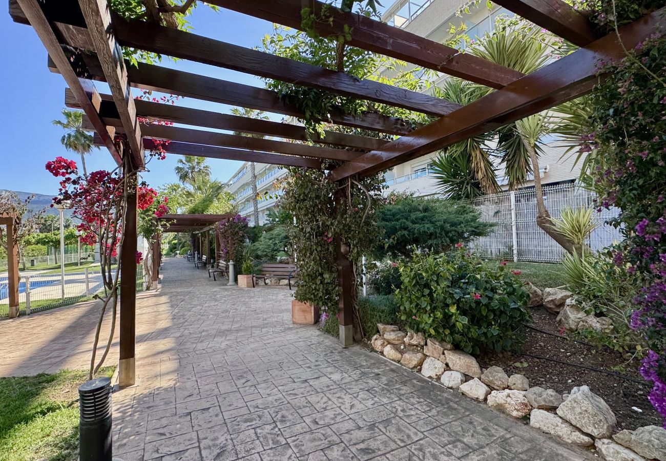 Apartment in Denia - AGUAMAR LM-060