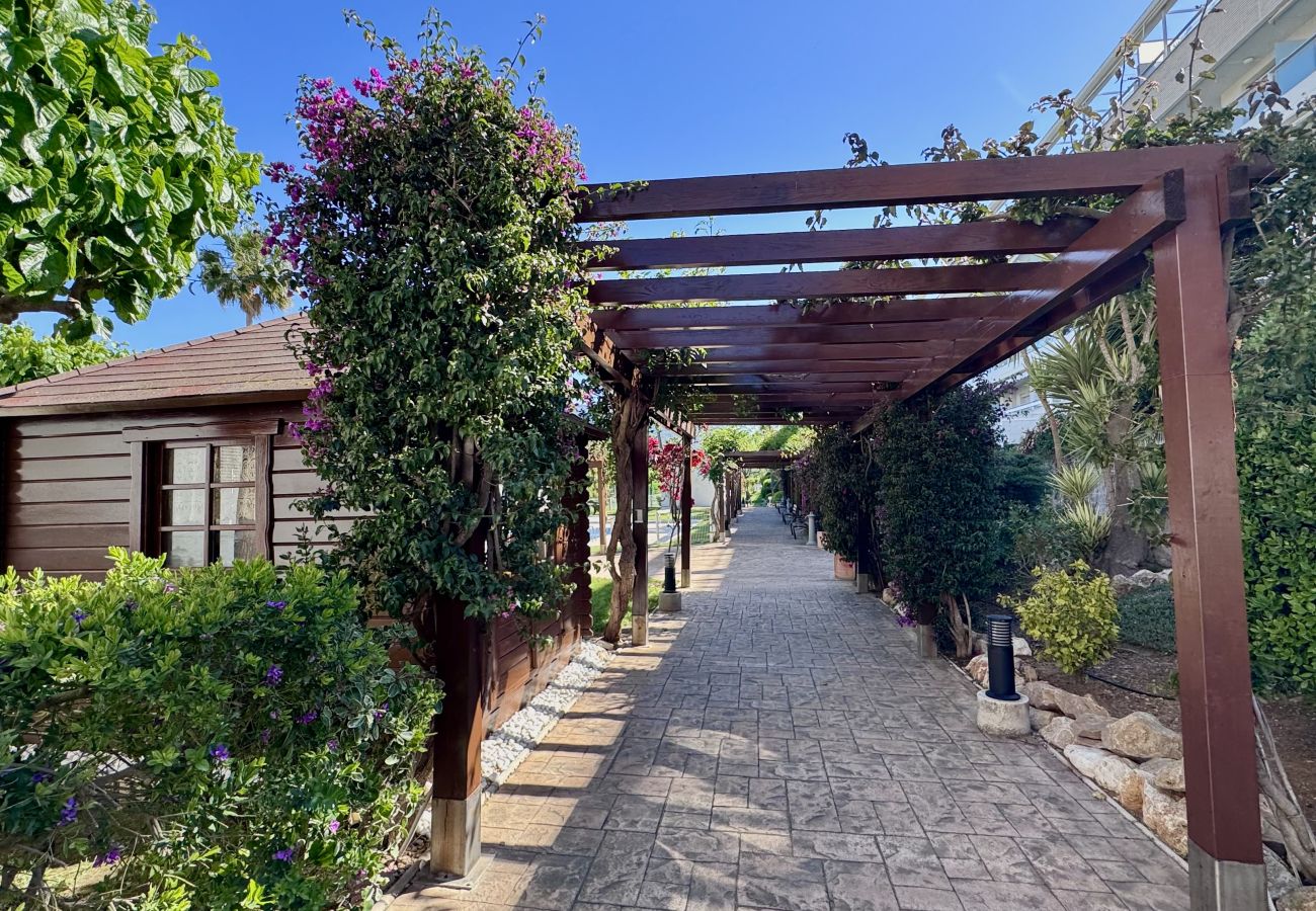 Apartment in Denia - AGUAMAR LM-060