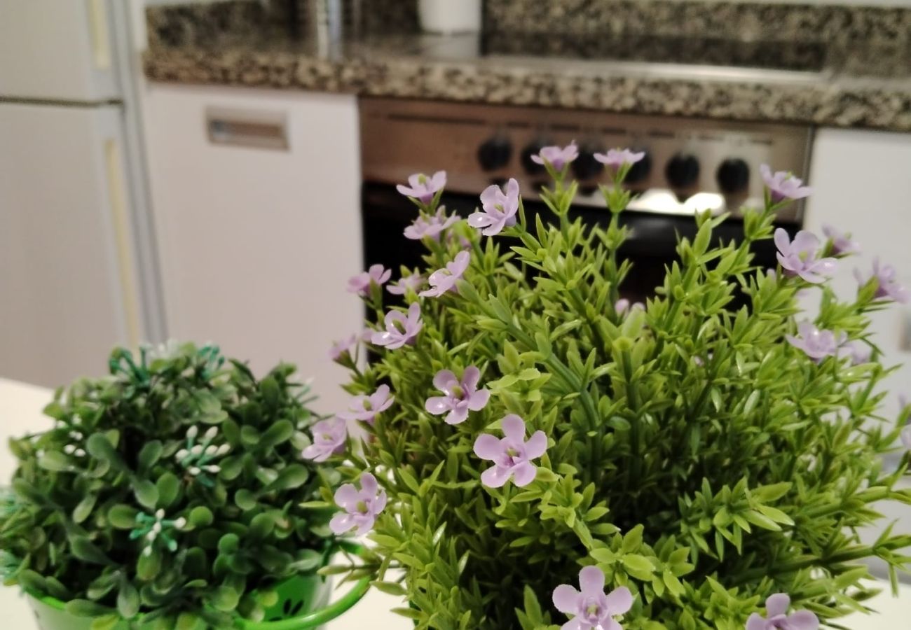 Apartment in Denia - Ronda Mar ·B3 - Lm 038