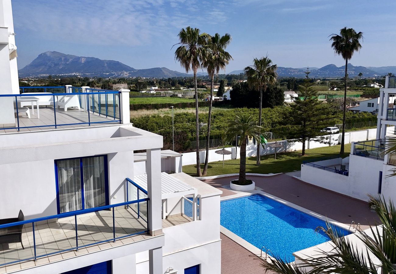 Apartment in Denia - PASEO AL MAR LM-035