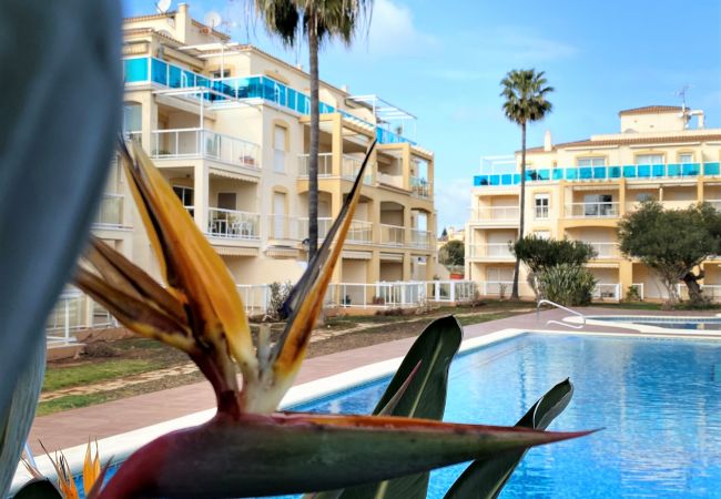 Апартаменты на Denia - LA RIVIERA LM 009 Апартаменты на Denia - LA RIVIERA LM 009
