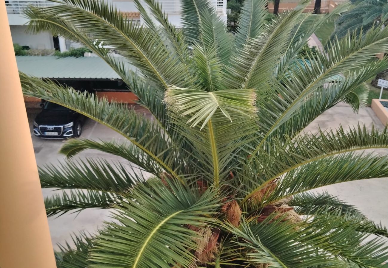 Апартаменты на Дения / Denia - TALIMA 3B   VYB